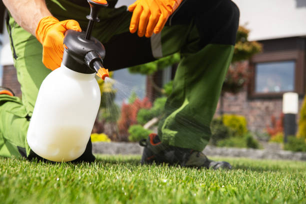 Best Insect Control  in Baldwin, GA