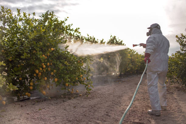 Pest Control for Restaurants in Baldwin, GA