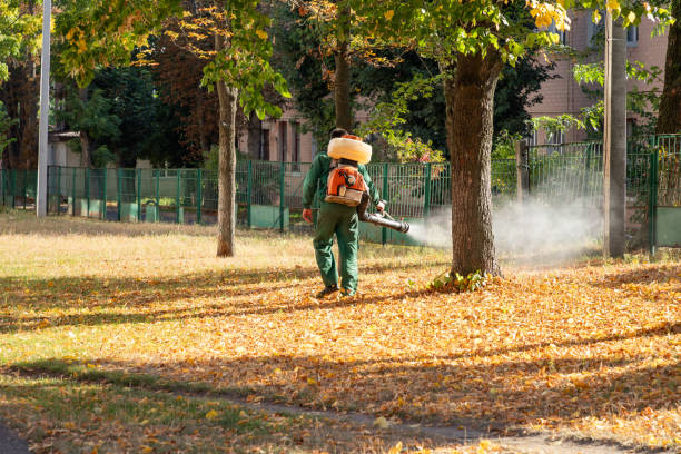 Best Affordable Pest Control Services  in Baldwin, GA
